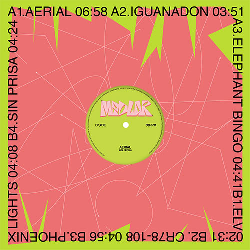 Medlar - Aerial