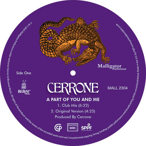 Cerrone - A Part Of You