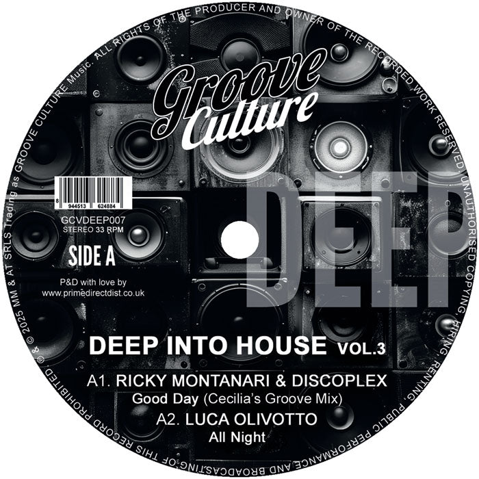 Ricky Montanari & Discoplex / Luca Olivotto / Gianni Bini - Deep Into House Vol.3