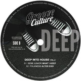 Various Artists - Deep Into House Vol.2