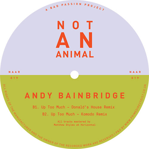 Andy Bainbridge - Up Too Much