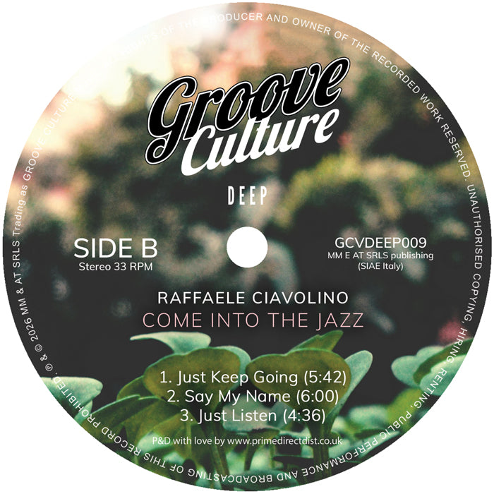 Raffaele Ciavolino - Come Into The Jazz [2LP]