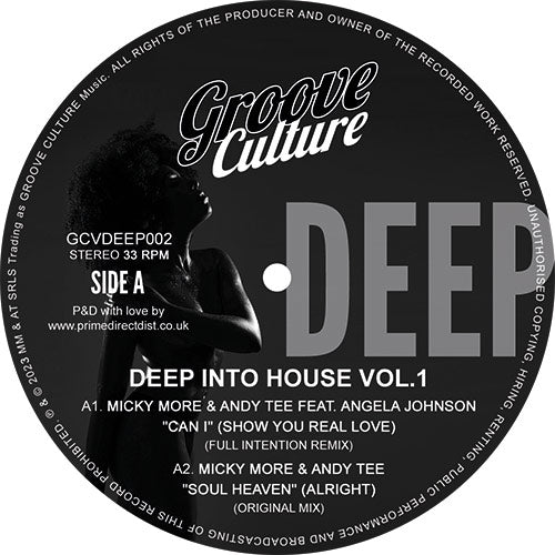 Various Artists - Deep Into House Vol.1