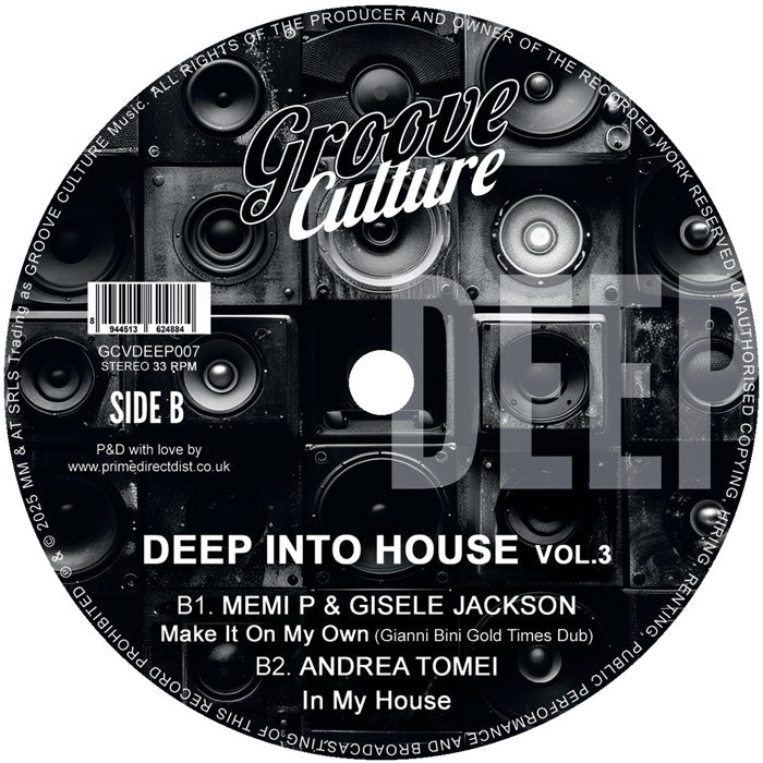 Ricky Montanari & Discoplex / Luca Olivotto / Gianni Bini - Deep Into House Vol.3