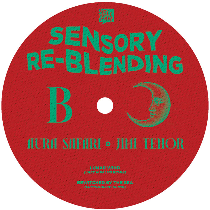 Aura Safari & Jimi Tenor - Sensory ReBlending