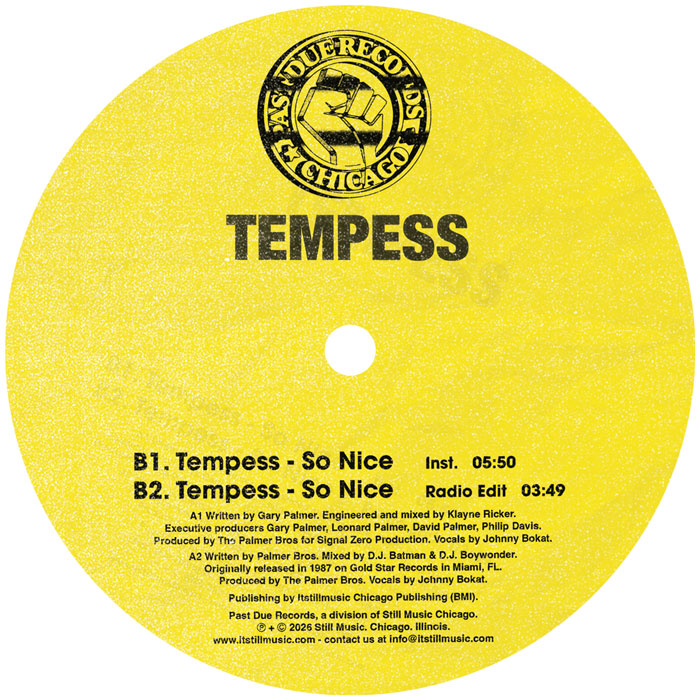 Tempess - So Nice & So Fine