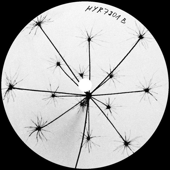 Nathan Dawidowicz - Fluff