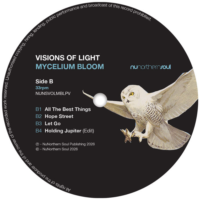 Visions of Light - Mycelium Bloom