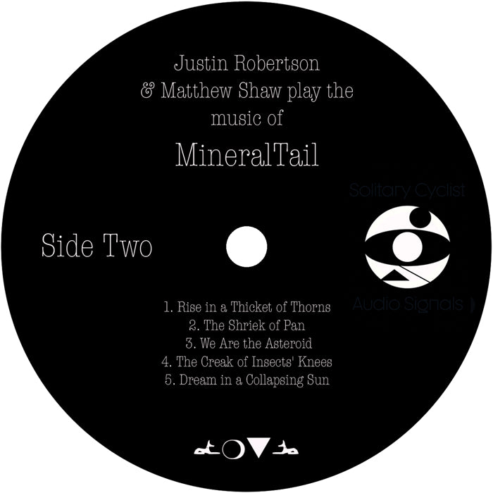 Justin Robertson and Matthew Shaw - Play the music of MineralTail