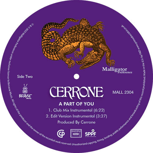 Cerrone - A Part Of You