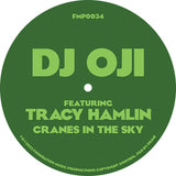 DJ Oji Featuring Tracy Hamlin - Cranes In The Sky