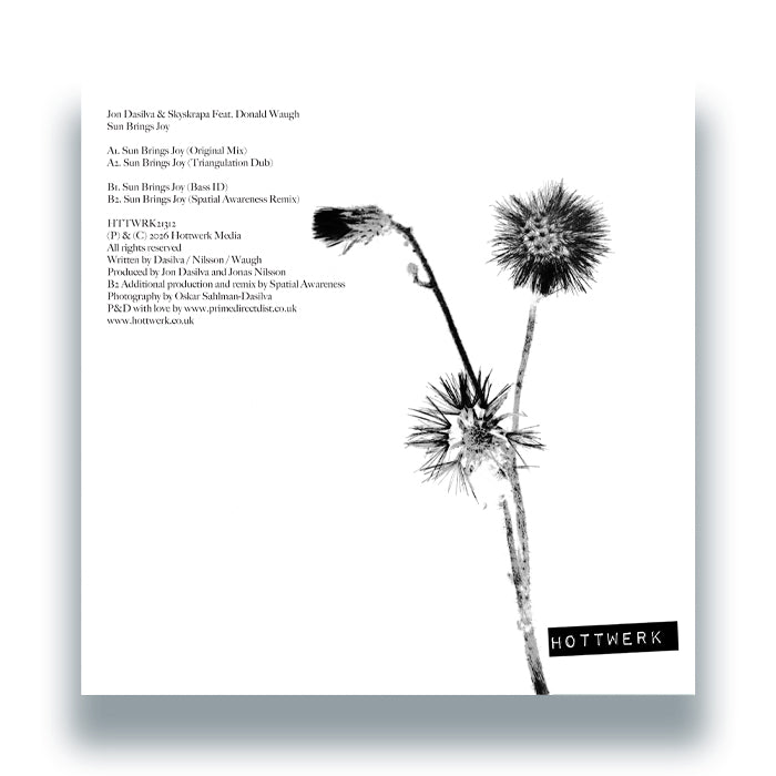 Jon Dasilva and Skyskrapa Feat. Donald Waugh - Sun Brings Joy