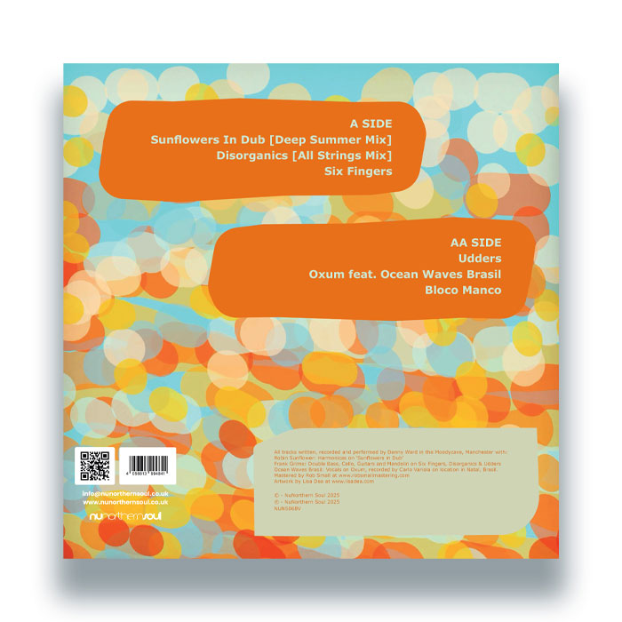 Balaphonic - Resolution Revolutions