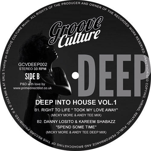 Various Artists - Deep Into House Vol.1