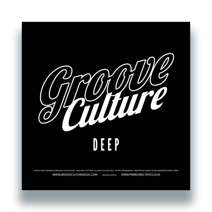 Ricky Montanari & Discoplex / Luca Olivotto / Gianni Bini - Deep Into House Vol.3