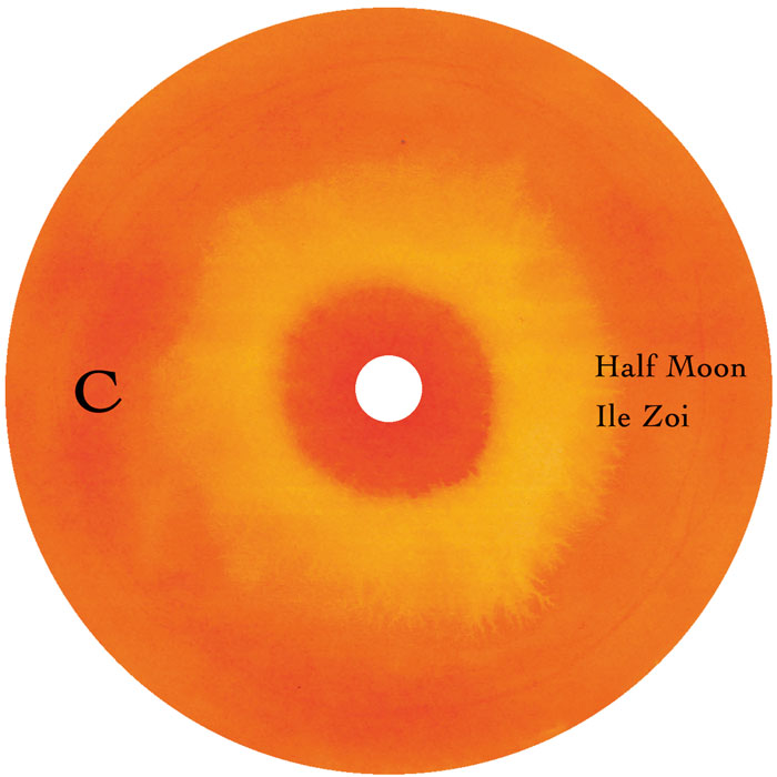 Humble B - Flat Blessings Of The Sun [2LP]