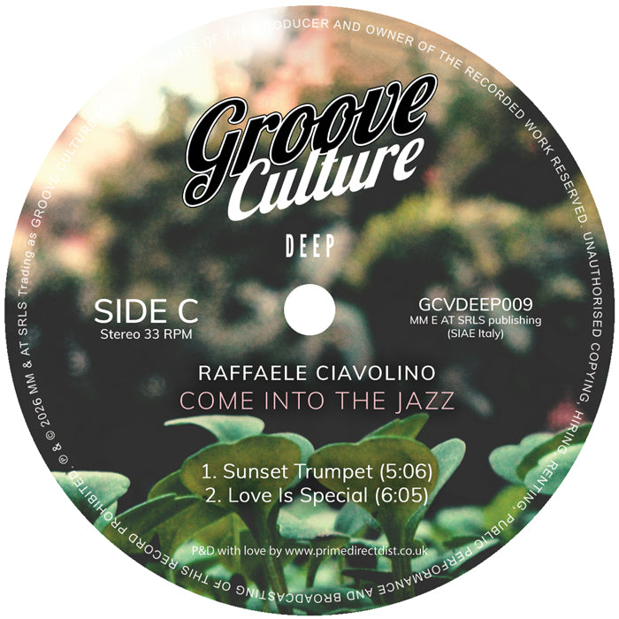 Raffaele Ciavolino - Come Into The Jazz [2LP]