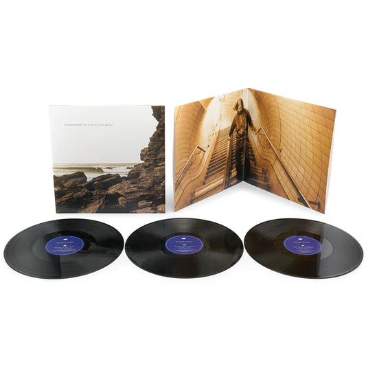 Polygon Window - Surfing On Sine Waves (Expanded Edition) [3LP]