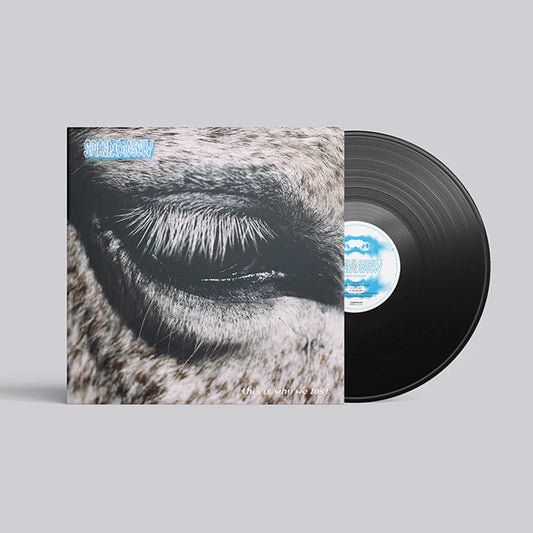 Smag På Dig Selv - This Is Why We Lost [LP]