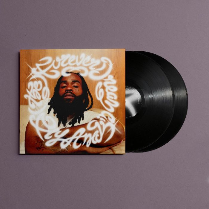 Fly Anakin - (The) Forever Dream [2LP Black Vinyl]