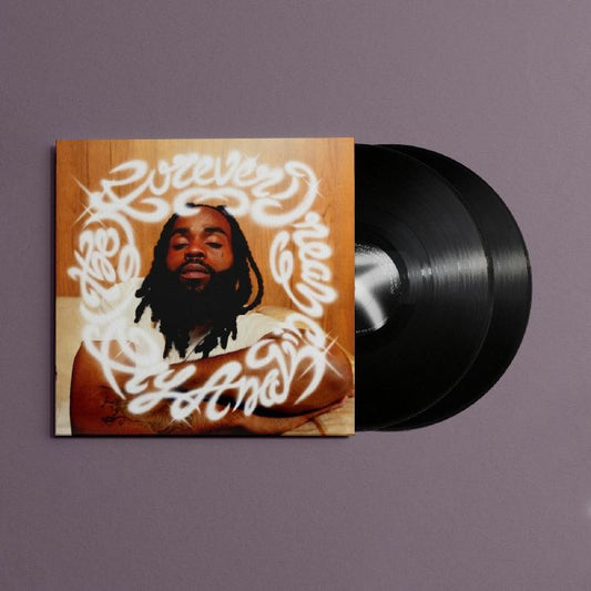 Fly Anakin - (The) Forever Dream [2LP Black Vinyl]