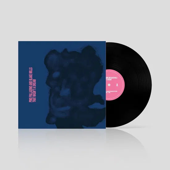 Pino Palladino & Blake Mills - That Wasn't a Dream [LP]