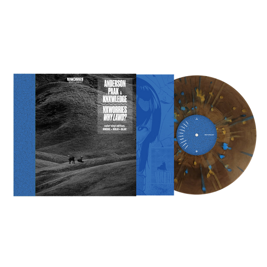 NxWorries - Why Lawd? [Indies LP]