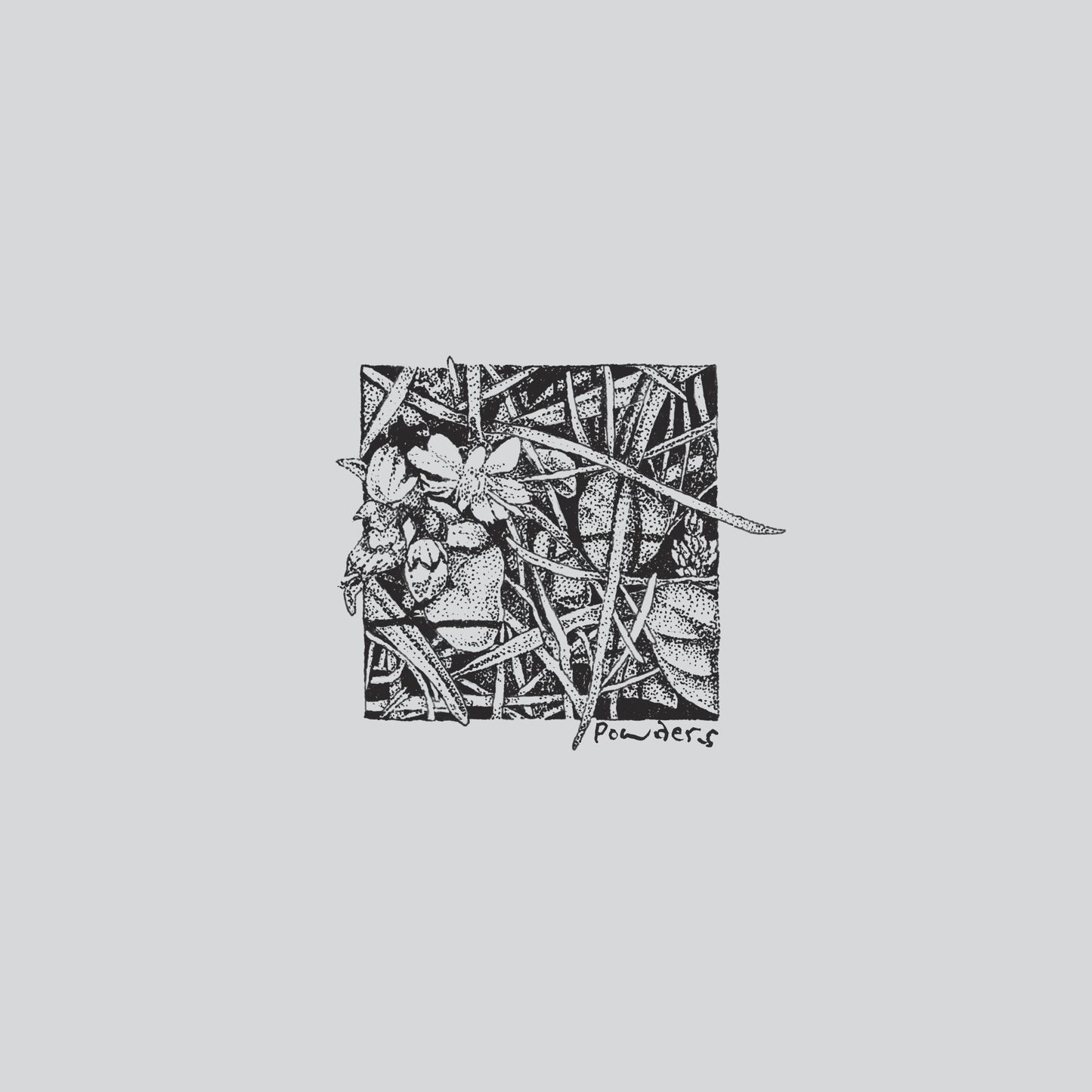 Powders - Concede to Circumstance