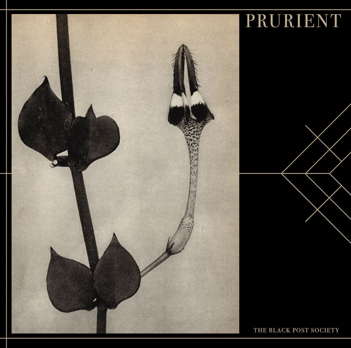Prurient - The Black Post Society [CD]