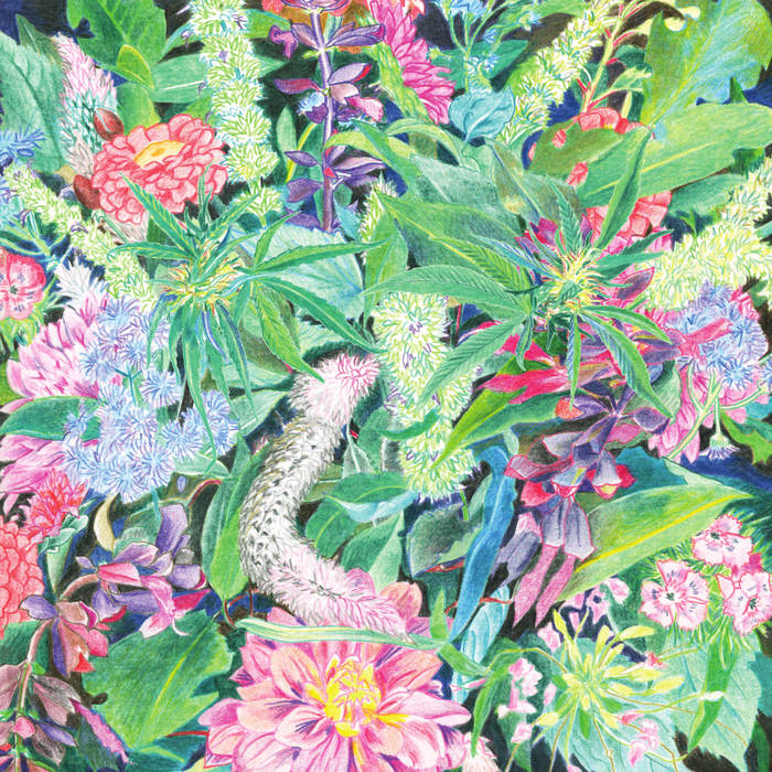 LIGHT-SPACE MODULATOR - THE RISING WAVE