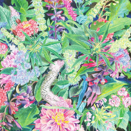 LIGHT-SPACE MODULATOR - THE RISING WAVE