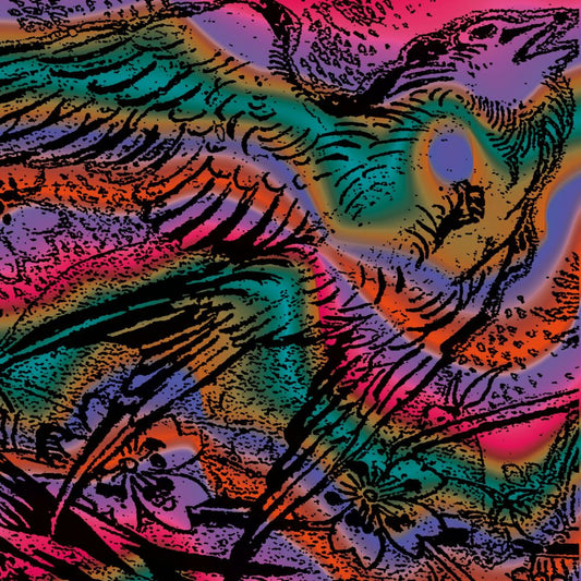 V/A (Llewellyn,Stereocalypse,Zillas On Acid,...) - One Swallow Doesn’t Make A Summer Part 6