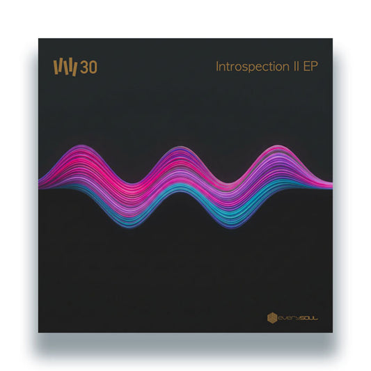Vince Watson - Introspection II EP