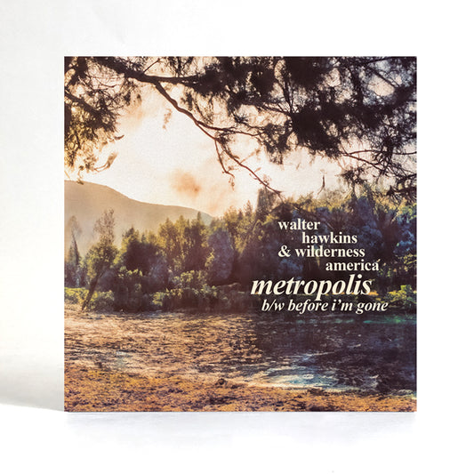 Walter Hawkins & Wilderness America - Metropolis [7" Vinyl]