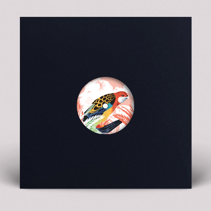 Michael The Lion / Natasha Kitty Katt Featuring Suki Soul - I Found Peace