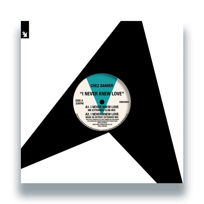 Chez Damier - I Never Knew Love