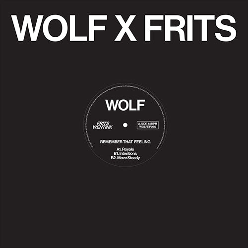 Frits Wentink - Remember that Feeling