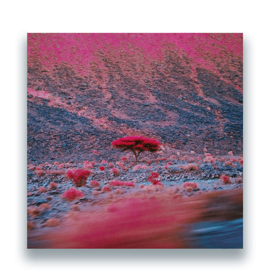 O'Flynn - Kairos  [2LP]