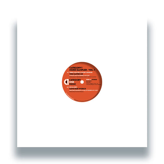Terry Dexter / Ed Ramsey / Shawn Christopher / Lee Wilson - Category 1 Music Sampler - Vol. 1