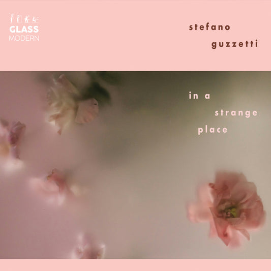 Stefano Guzetti - In A Strange Place [CD]