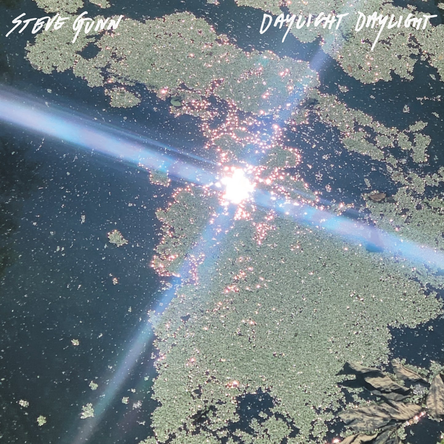 Steve Gunn - Daylight Daylight [CD]