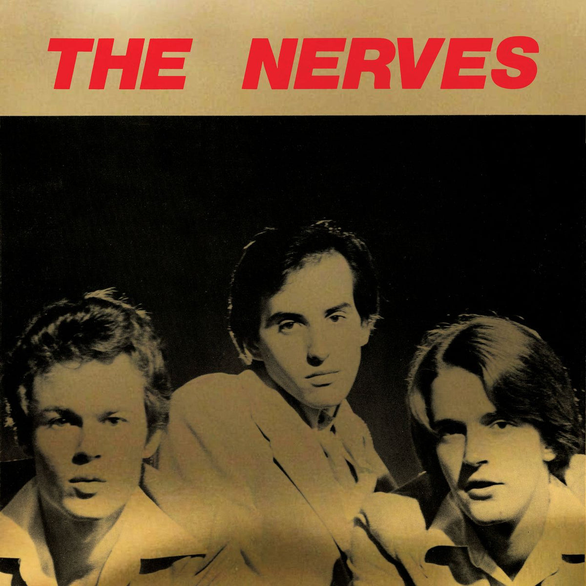 The Nerves - Best Collection [LP]