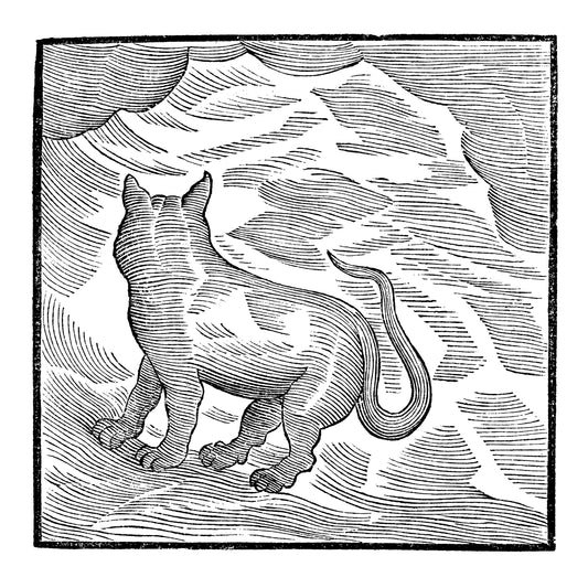 Valentina Magaletti & YPY - Kansai Bruises