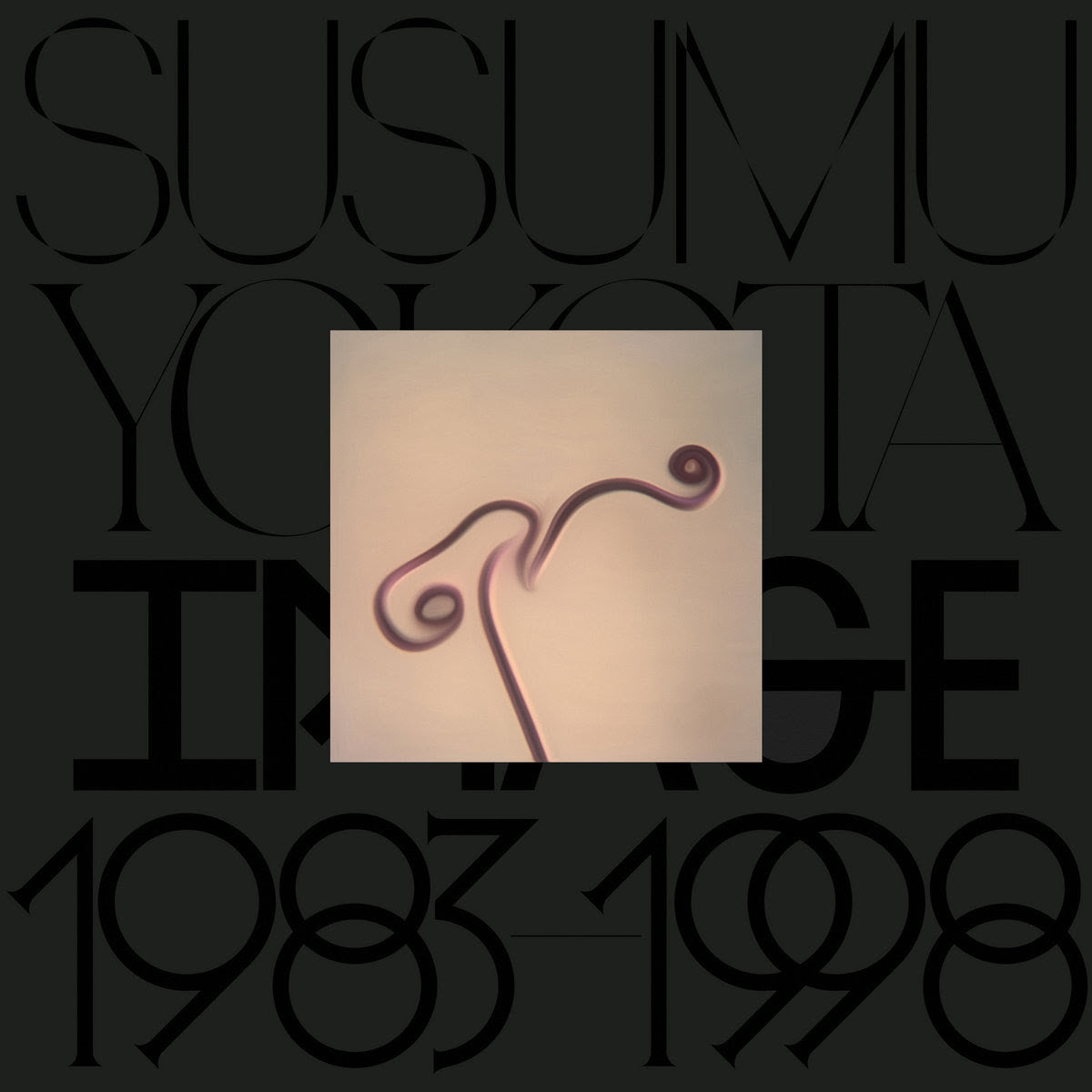 Susumu Yokota - Image 1983-1998 (Skintone Edition)