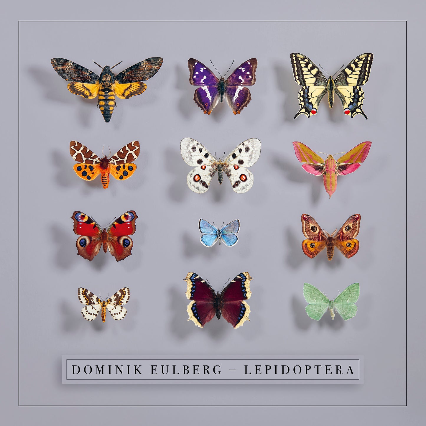 Dominik Eulberg - Lepidoptera [CD]