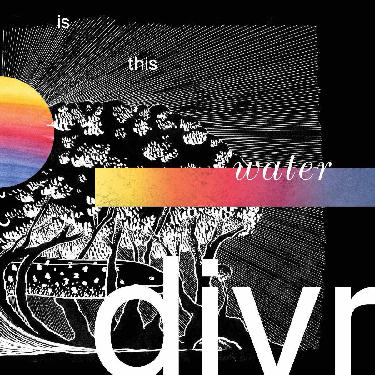 divr - Is This Water [LP]