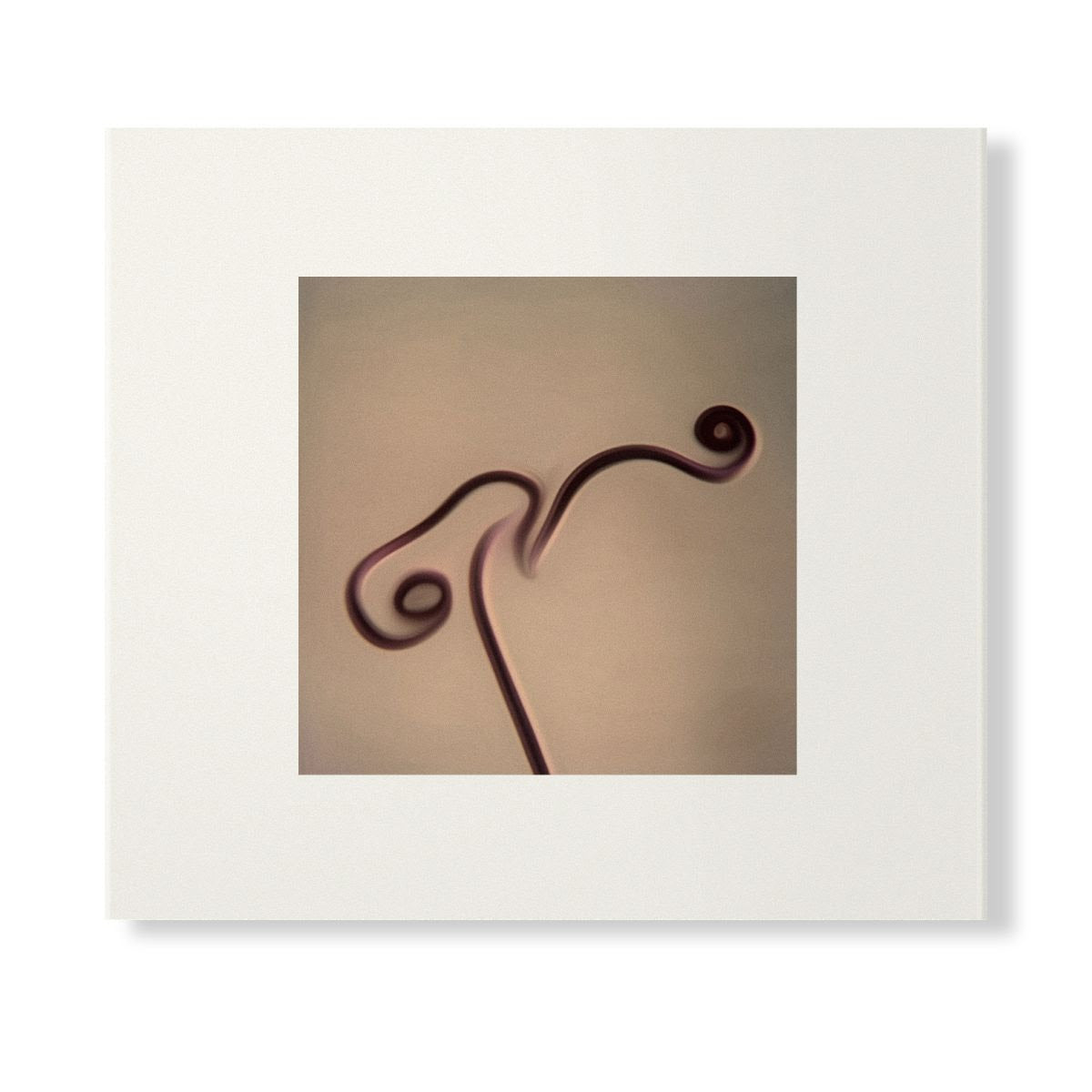 Susumu Yokota - Image 1983-1998 (Skintone Edition) [CD Version]