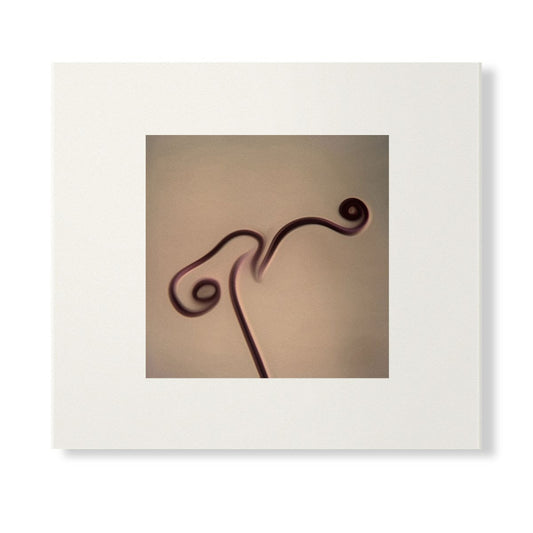 Susumu Yokota - Image 1983-1998 (Skintone Edition) [CD Version]