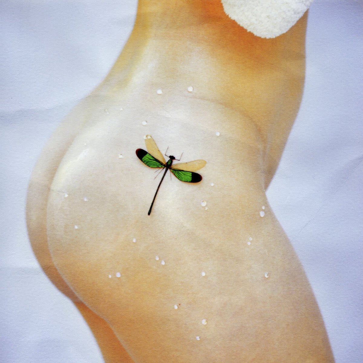 Kacy Hill - Bug [Coloured Vinyl]