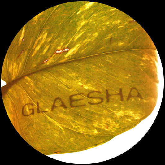 Glaesha - Memory Implant